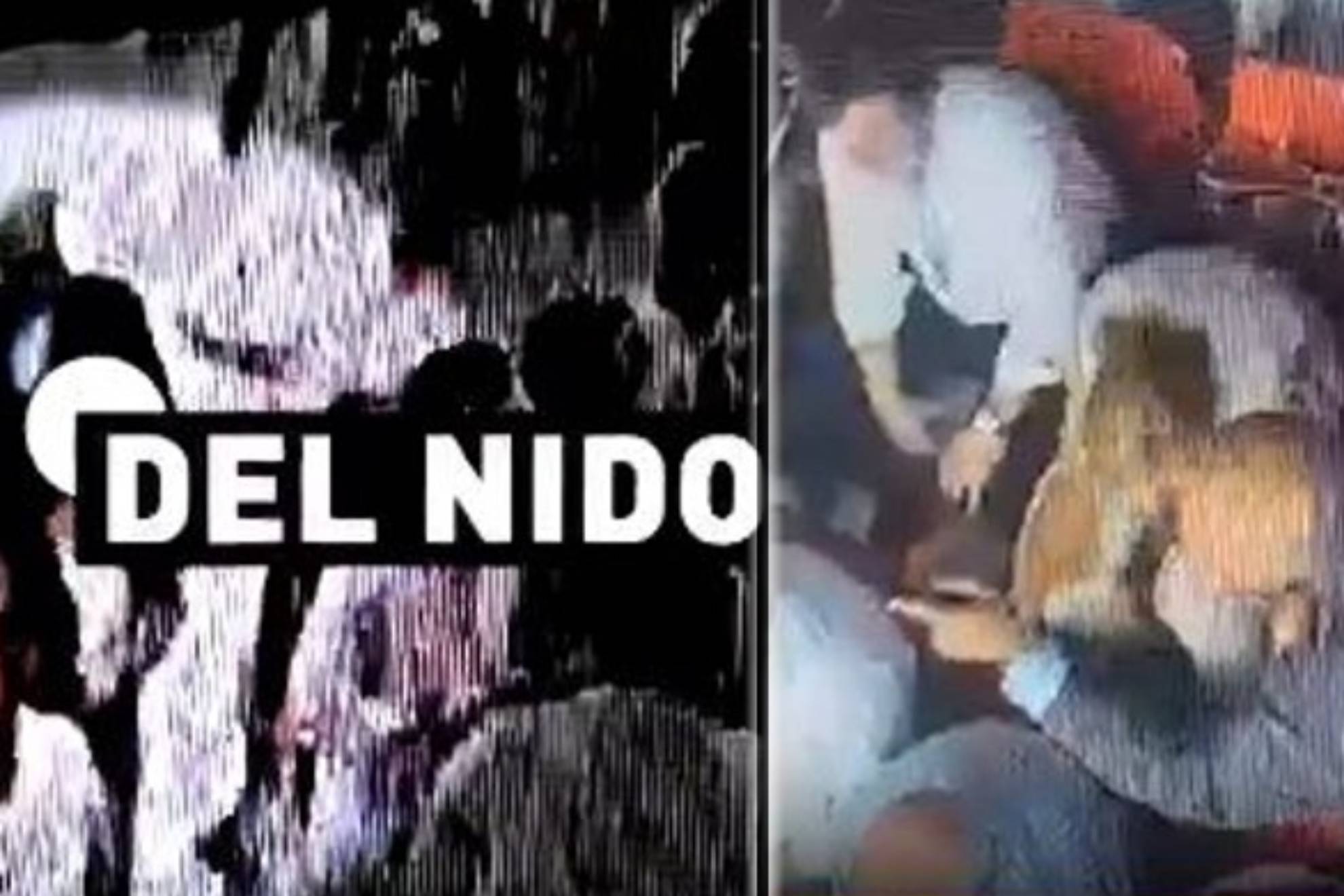 布朗尼并不 布朗尼并不