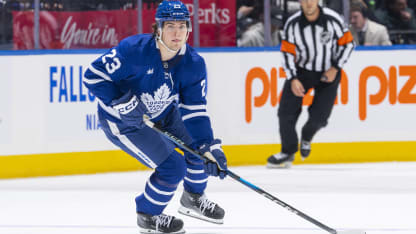 正在成长为 正在成长为