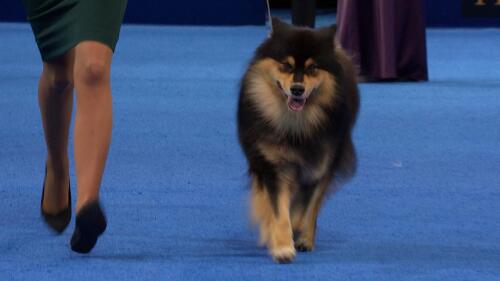 总局乒羽中心党委组织学习王文教、张燮林先进事迹 向时代楷模学习 接续奋斗